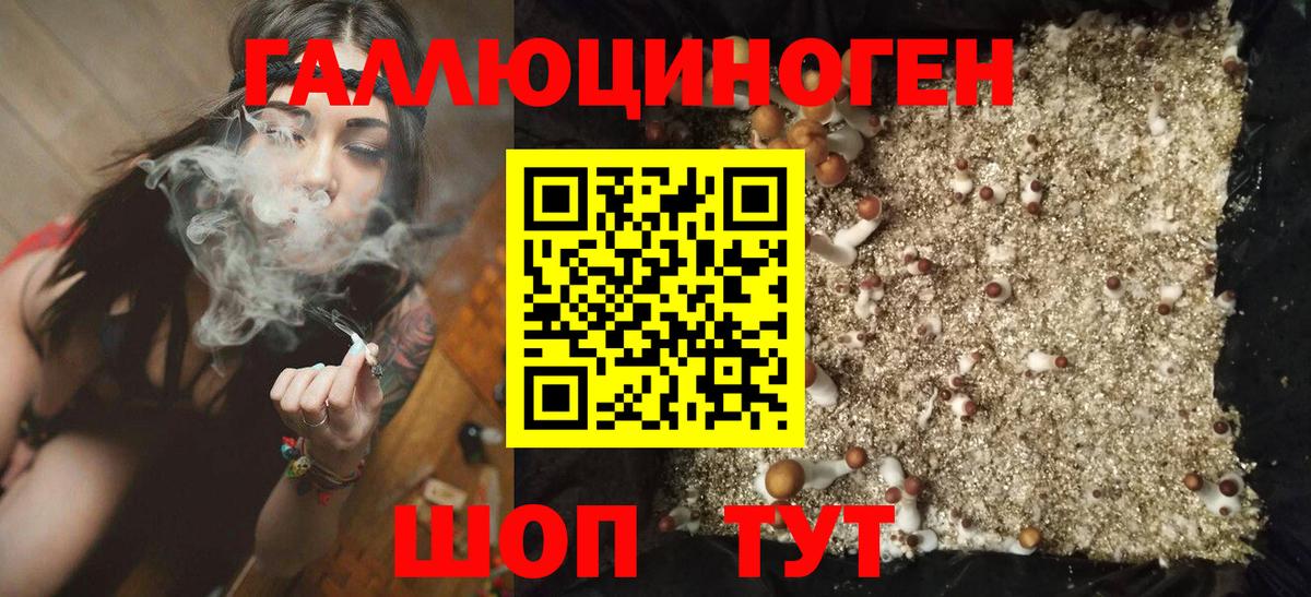 Галлюциногенные грибы Cubensis  как найти закладки  Камышлов  Вход с VPN 